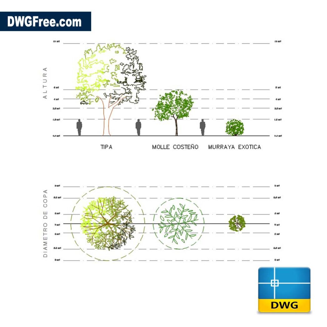 V g tation 2D Et Arbres Dessin DWG T l charger Gratuitement 