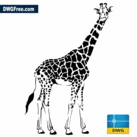 DFemaleGiraffedrawingvectordwg