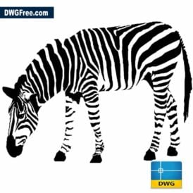 ZebragrazingDdrawinginAutocad