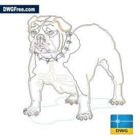Dog Bulldog Dwg drawing D scaled