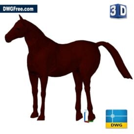 Horse D Cad dwg drawing scaled