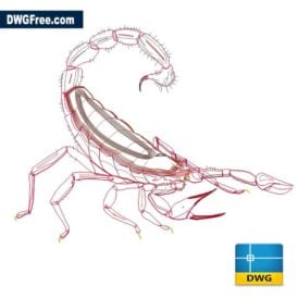 Scorpion Dwg drawing D scaled