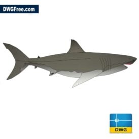 Shark DWG in AutoCAD